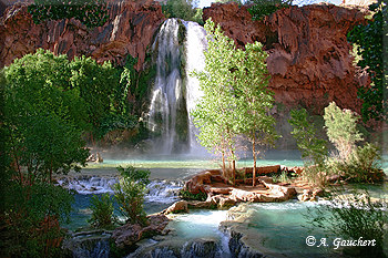 Havasu Fall am Morgen